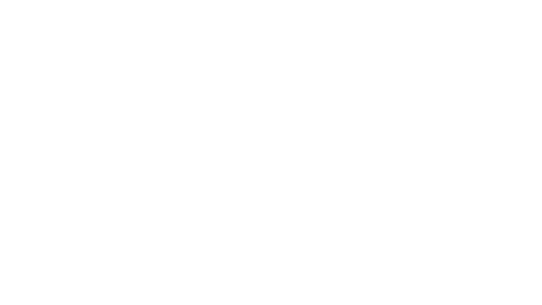 Magic System au Zénith de Nantes