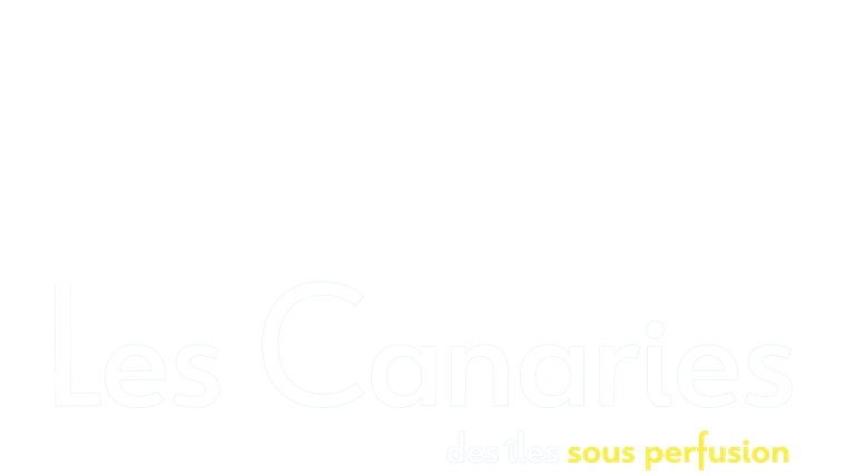 Les Canaries : Des îles sous perfusion