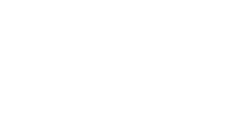 L'exécuteur