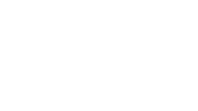 Le roi de l'arnaque