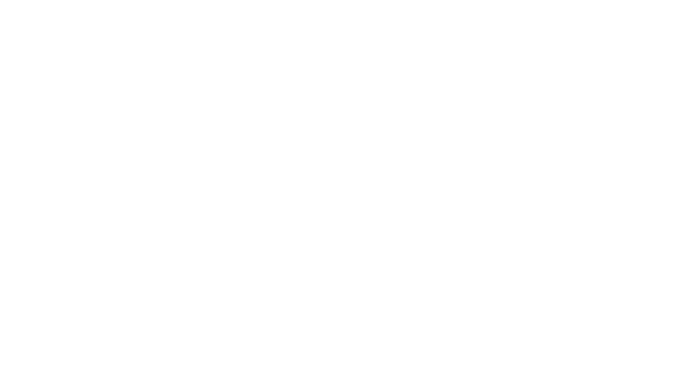 MMA : PFL