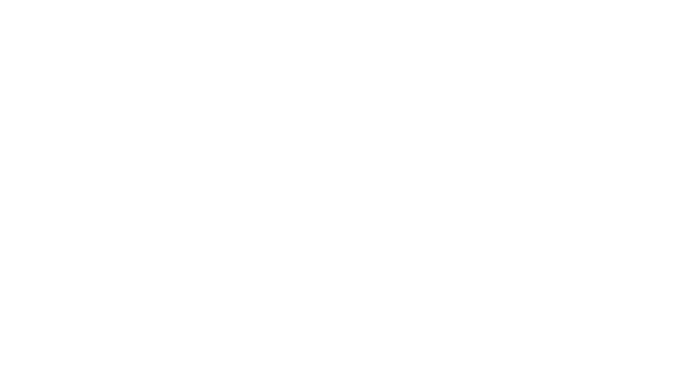 Vannes, Breizh ardente