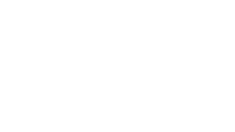 Vizorek raconte Brel