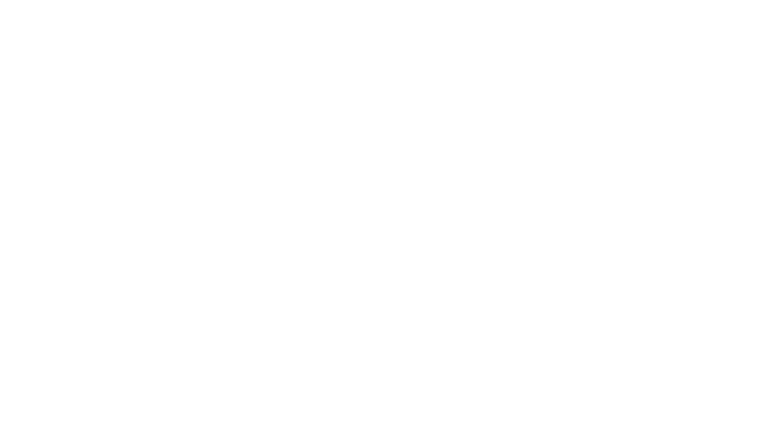 Jet Set
