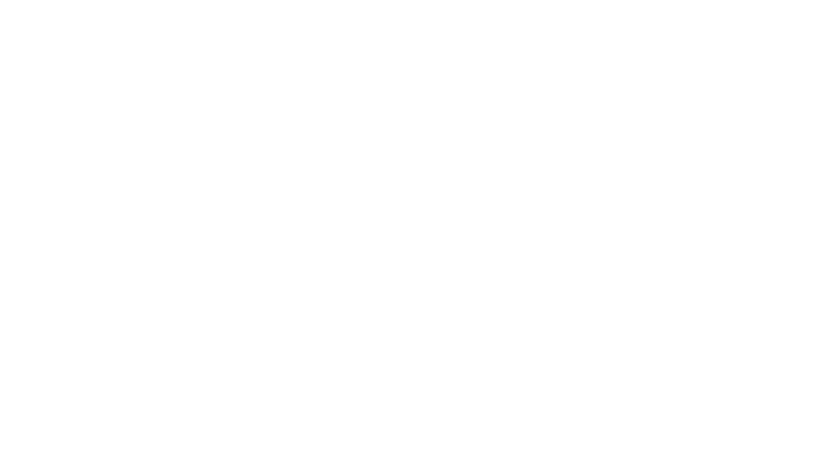 Anita : dire la vérité au pouvoir