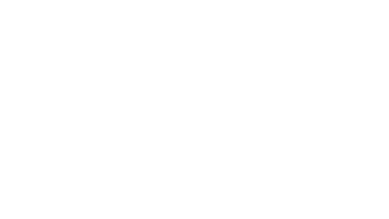 Poids lourds - Francis Ngannou - Renan Ferreira