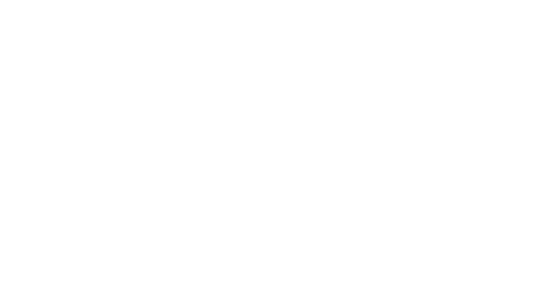 Une histoire vraie