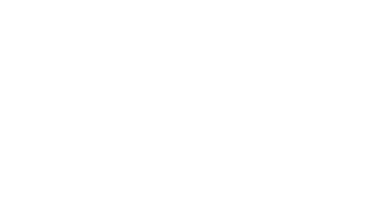 Fabregas le Métis noir au Casino de Paris