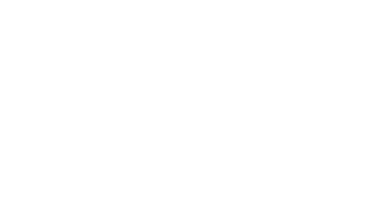 Le royaume des elfes