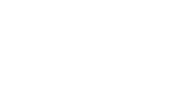 Niko le petit renne : Mission Père Noël