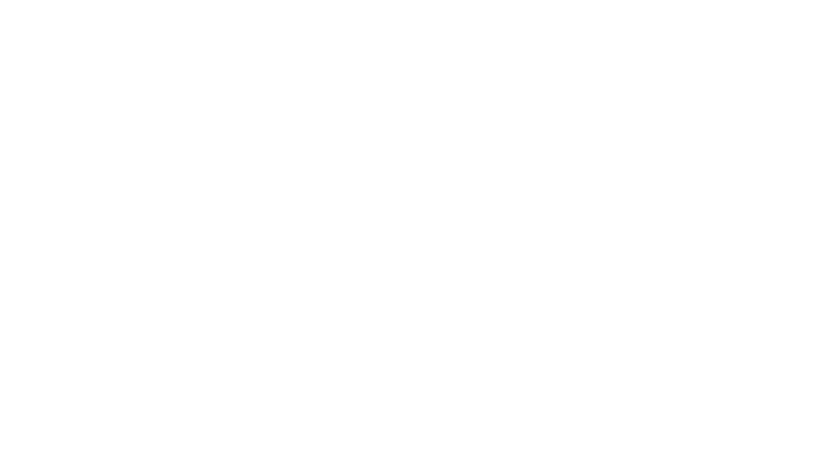 Looking for Timothée - Looking for Timmy