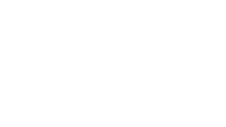 Le fardeau