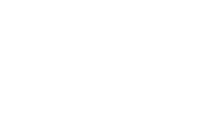 The Beast