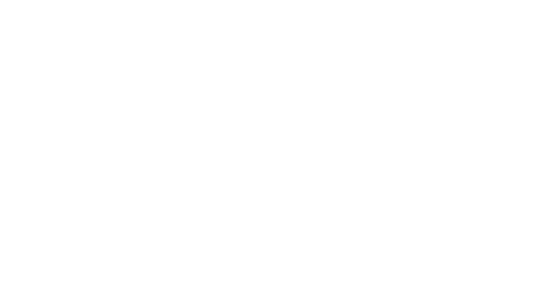 Back in Action