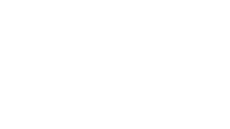 Le Mohican