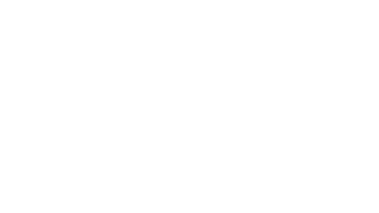 The Critic