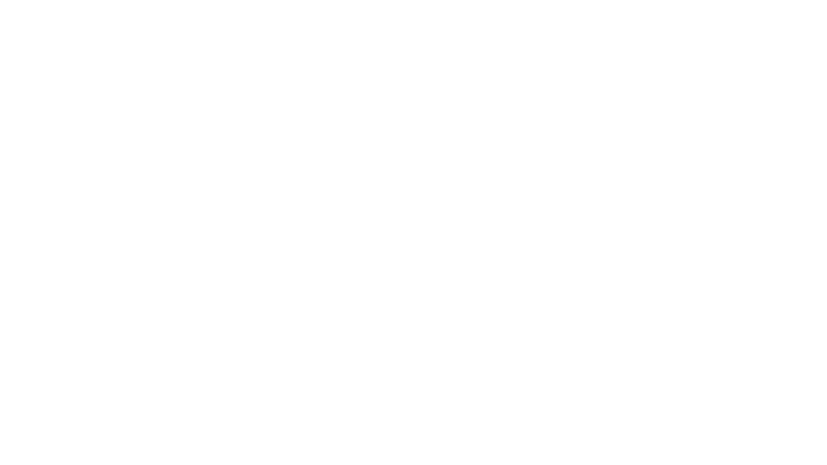 Black Dog