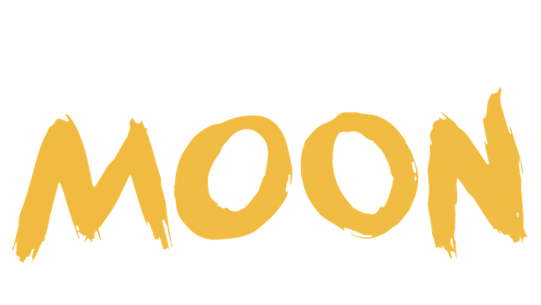 Moon le panda