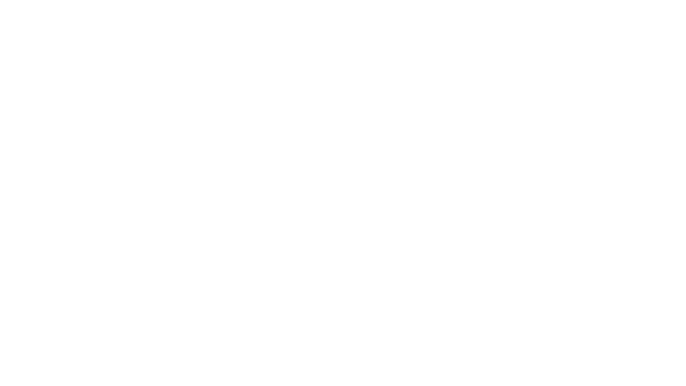 Le compagnon de mes rêves