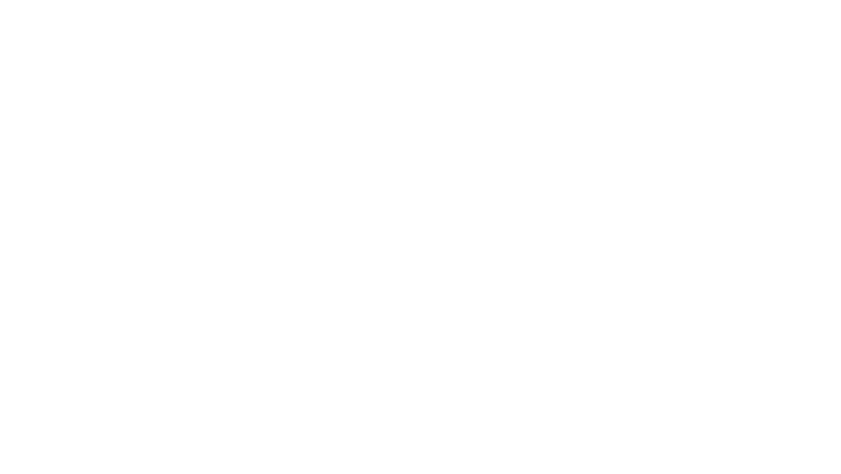 Oliver Stone, l'Amérique au vitriol