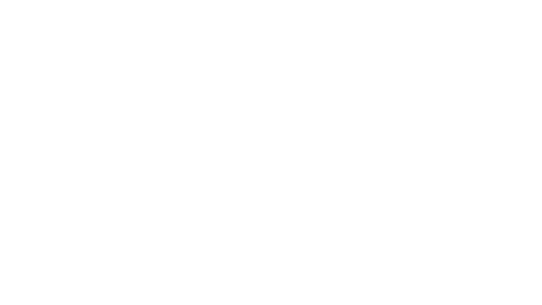 Le bézoard