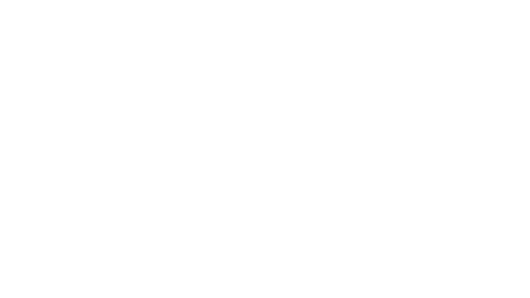 Falcon Express