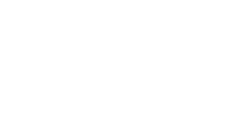Le fétiche