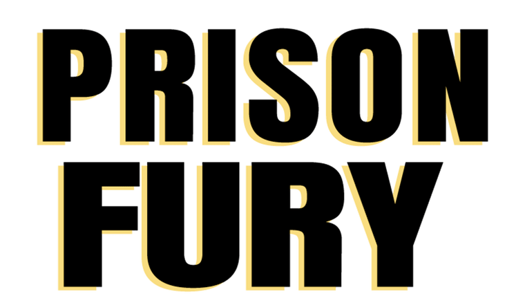 Prison Fury