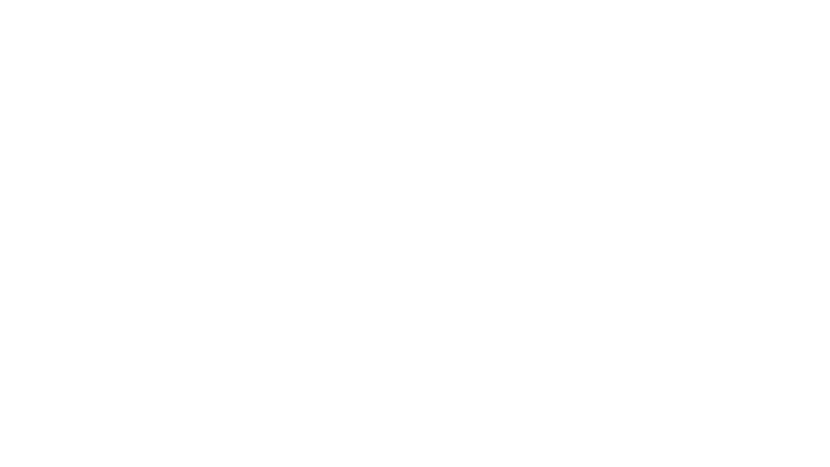 Javier Milei, le président à la tronçonneuse