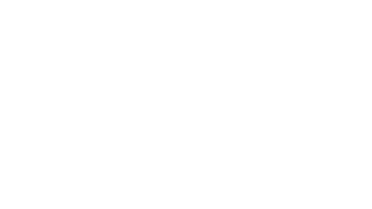 Un Roi sans couronne