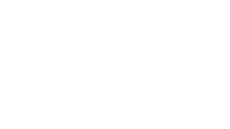 La forêt d'émeraude