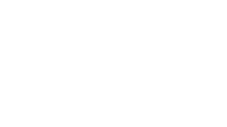 Le Roi Soleil