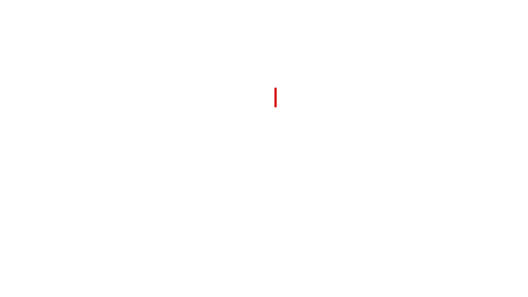 Histoire d'une fausse information : l'affaire Brigitte Macron