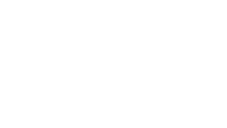 Le clandestin