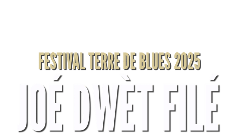 Festival Terre de Blues