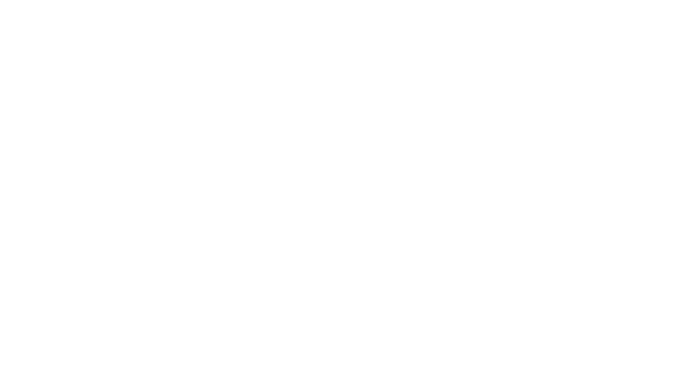 Checkpoint Zoo : Sauvetage sous les bombes