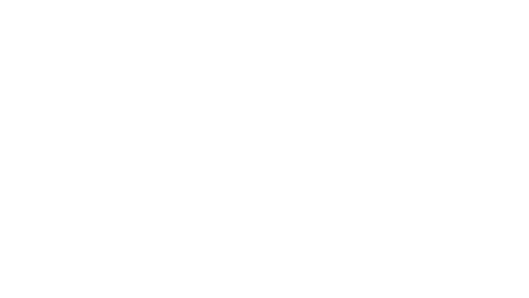The Surrender