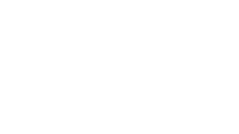 The Master