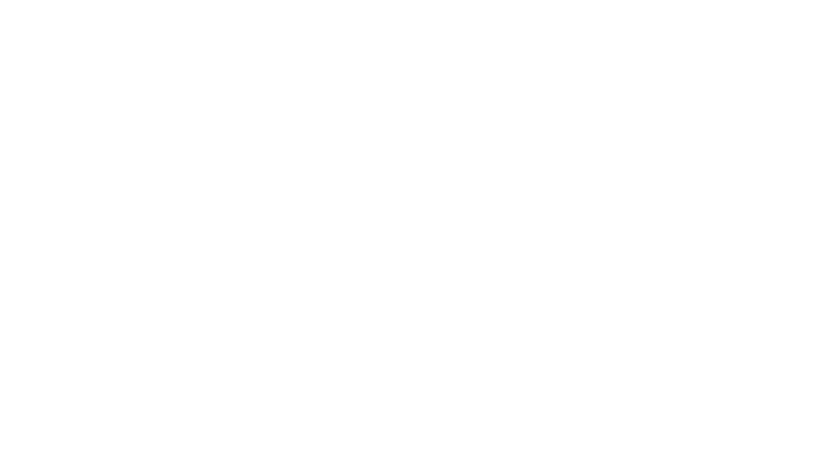 Dossier 137