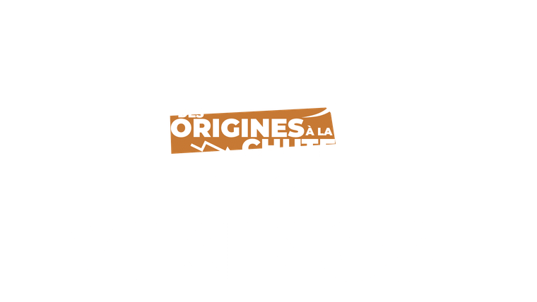 Les vikings : des origines à la chute