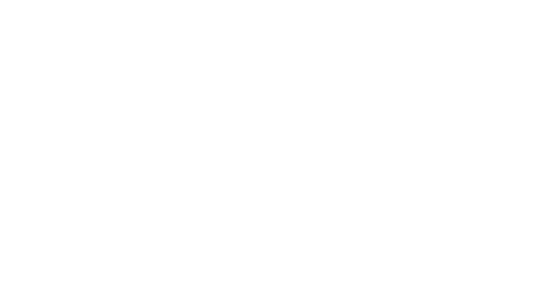 Pierre Brossolette : La mémoire retrouvée