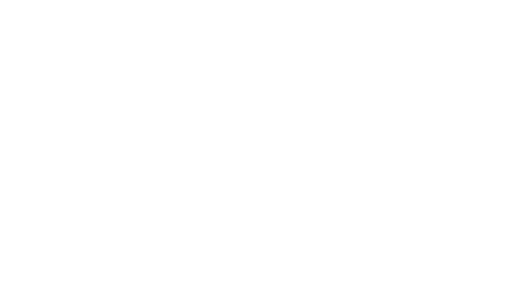 Alet, un artiste singulier