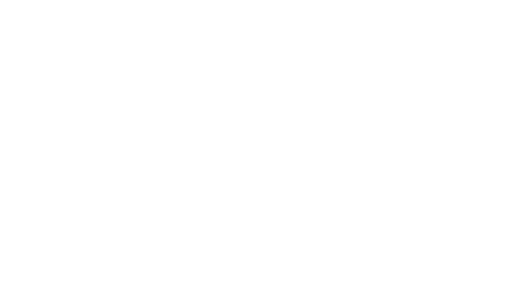 The Prosecutor