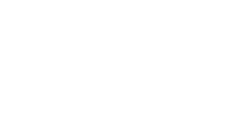 Fally Ipupa au Stade de France