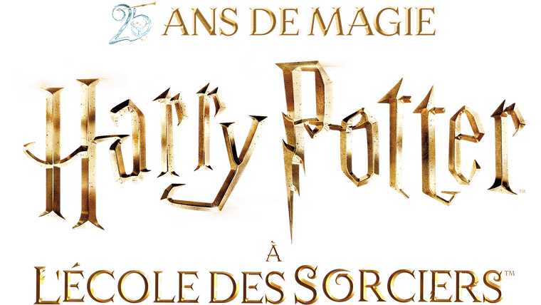 Harry Potter à l'école des sorciers