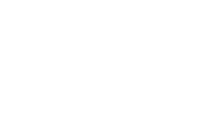 Les Guetteurs