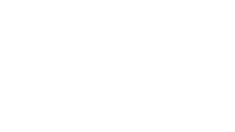 Le Direktor