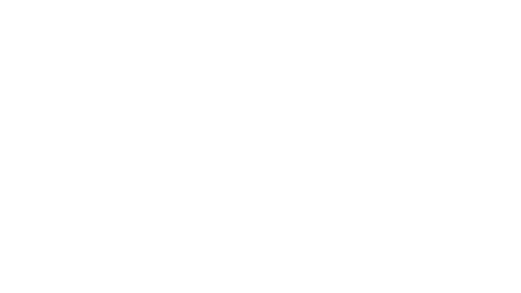 MR 73