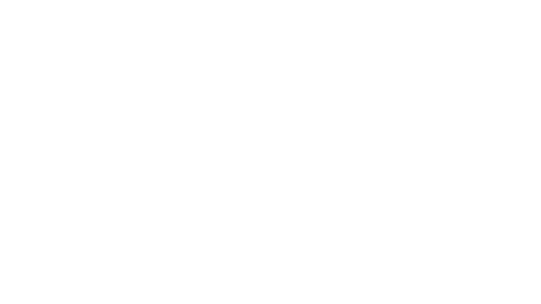 Les mariés de l'an II