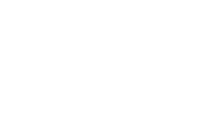 Baaghi 4